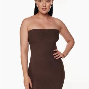 Aritzia Sculpt Knit Ribbed Tube Mini Dress
